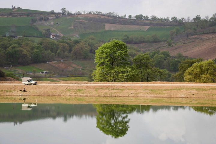 ۶۰ هکتار از اراضی ملی تعیین تکلیف شد/زمینخواری در قالب اجرای طرح درختکاری