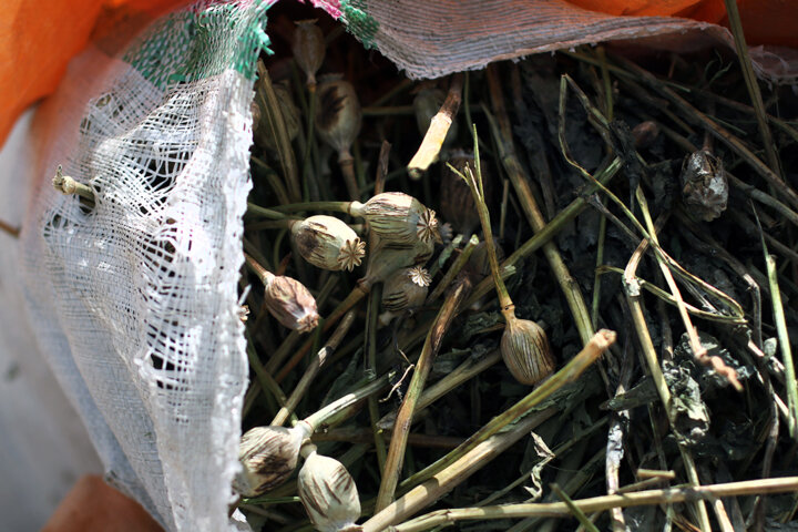 چکشکاری مجدد قانون مبارزه با مواد مخدر؛ لایحه جدید چه میگوید؟