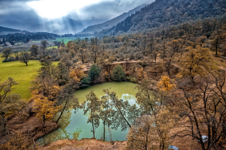 هیرکانی زنده میماند؛ پیروزی قضایی برای نجات جنگلهای باستانی