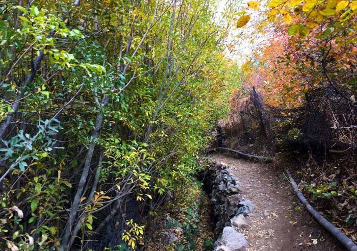 سفر به روستای شکوفه باران