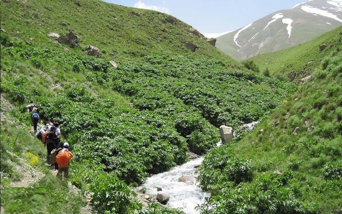 سفر به روستای شکوفه باران