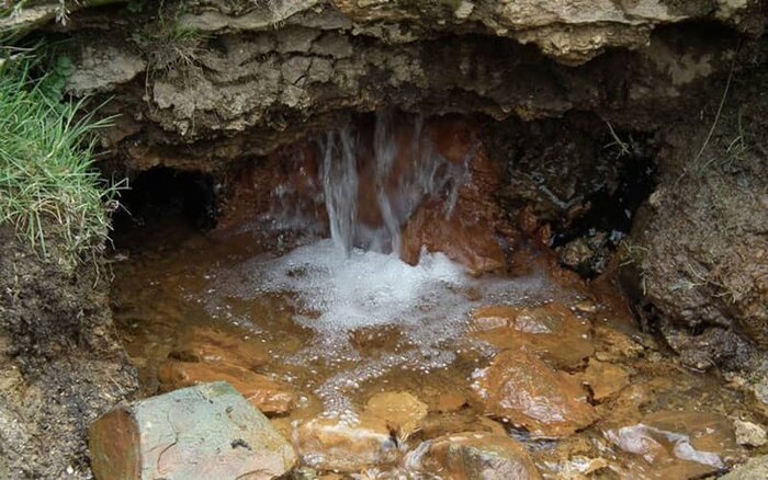 به دیدن لالههای روستای لالون بروید