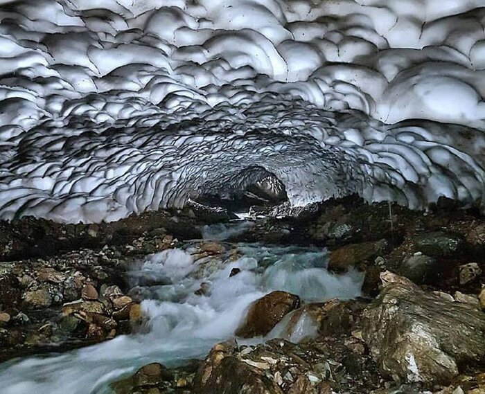 به دیدن لالههای روستای لالون بروید