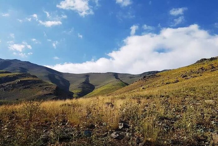 به دیدن لالههای روستای لالون بروید