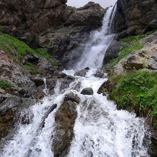 به دیدن لالههای روستای لالون بروید