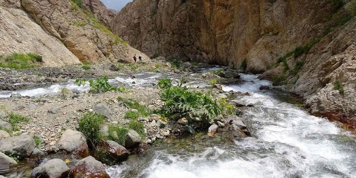 به دیدن لالههای روستای لالون بروید