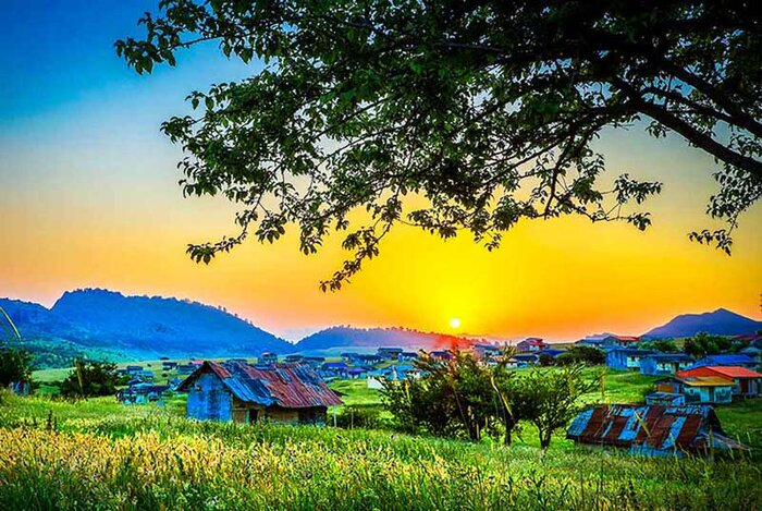 زیباترین جنگلهای شمال ایران کدامند؟