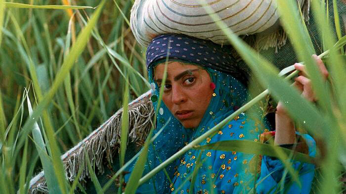 دور تند تولیدات مشترک سینمای ایران با کشورهای دیگر