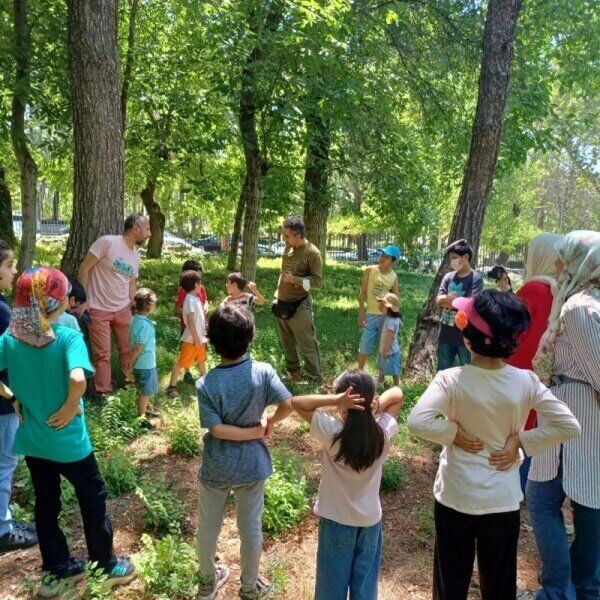 ۳۲ تماشاخانه و ۸۰ نمایش؛ تابستان داغ صحنهها با طعم رکوردها