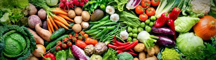 هوش مصنوعی در خدمت فناوری صلح آمیز هستهای و کمک به حل مشکلات