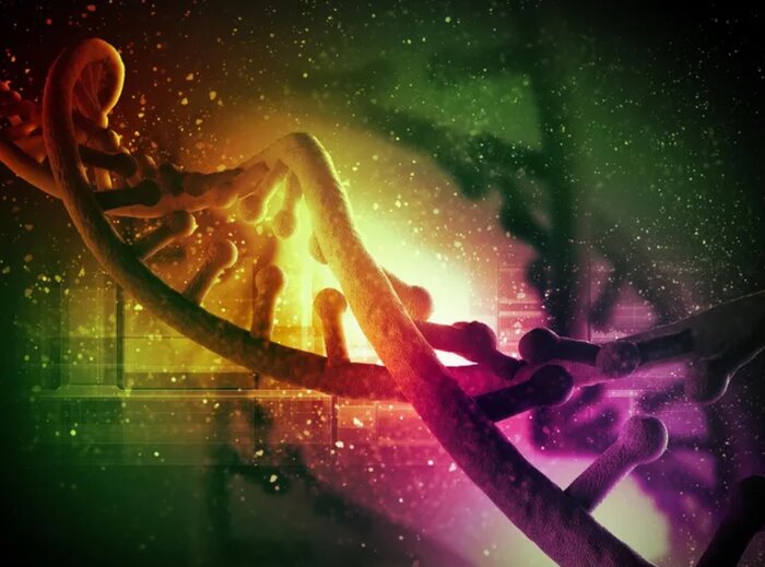 دیانای باستانی سابقه ژنوم «گاهواره تمدن» را آشکار کرد