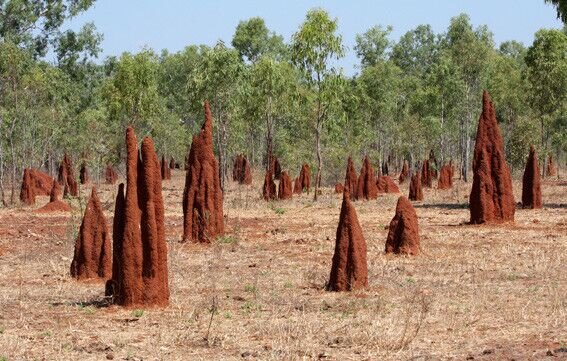 تازه های علم و فناوری ایران و جهان در هفتهای که گذاشت