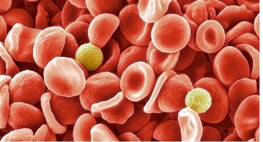 تازه های علم و فناوری ایران و جهان در هفتهای که گذاشت