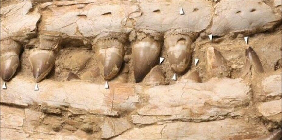 تازه های علم و فناوری ایران و جهان در هفتهای که گذاشت