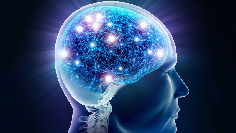 حتی کمی الکل هم مدار مغز را تغییر میدهد