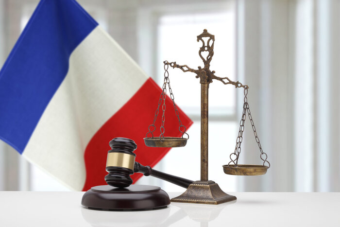 کشتار با ابزار قانون؛ روایت دلخراش خشونت پلیس فرانسه+ فیلم و عکس