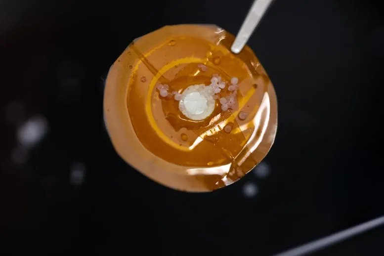 غشاهای نمکزدای آب؛ جایگزینی برای سیستمهای نمکزدایی