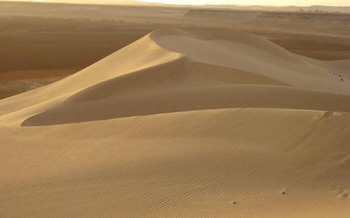 ابداع شیوه جدید درمان چاقی با جلوگیری از جذب چربی و قند