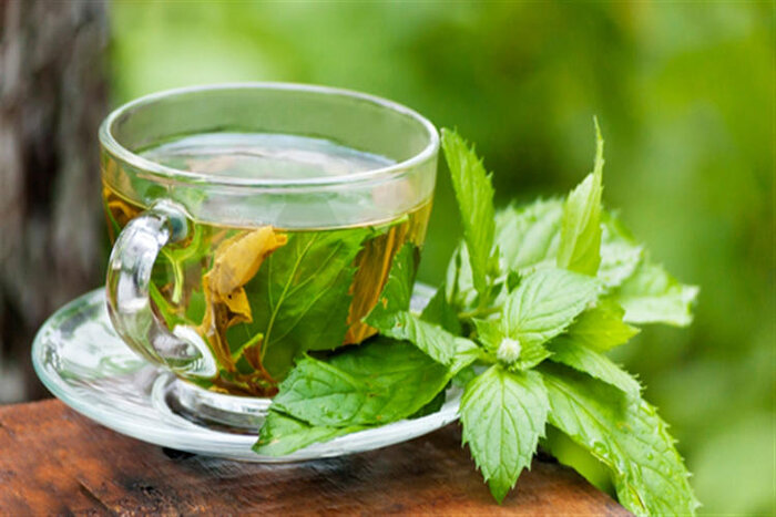 چند دمنوش نشاط آور که حالتان را خوب میکند