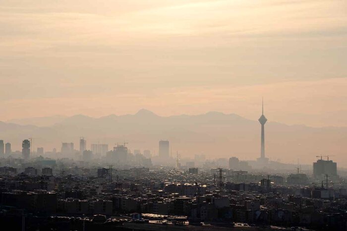این قاتل خاموش باعث به دنیا آمدن جنینهای مرده میشود