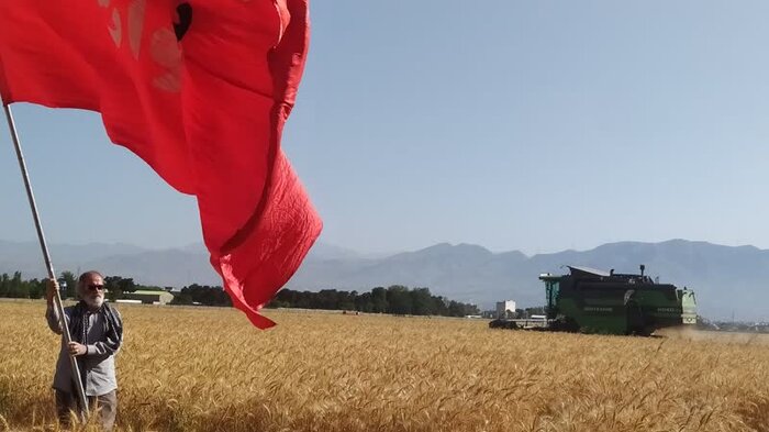 ۱۱۰ کیلوگرم از سرانه مصرفی آرد کشور به نان اختصاص دارد