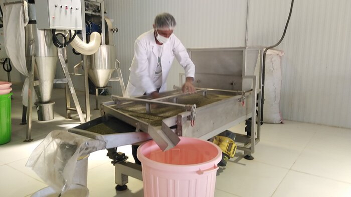 حمایت وزارت بهداشت از تجاریسازی و عرضه داروهای گیاهی در داروخانهها