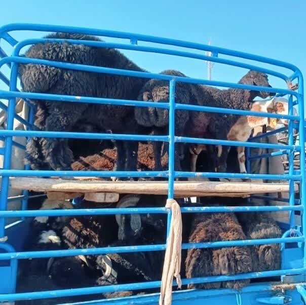 کشف ۵۳ دستگاه استخراج ارز دیجیتال در شهرقدس