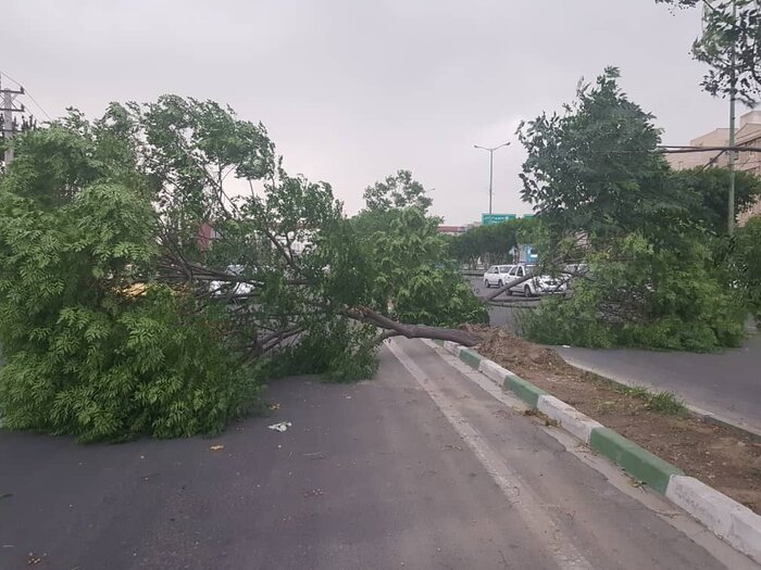 ۱۴۰ حادثه با وقوع طوفان و باد شدید در پایتخت