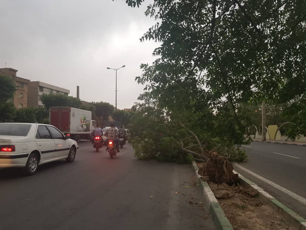 پیش‌بینی وزش بادهای شدید موقت در ۱۴ استان کشور