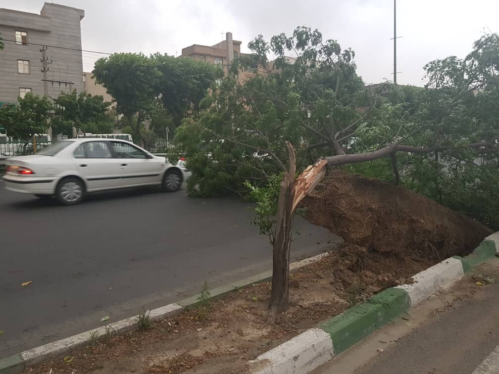 ۱۴۰ حادثه با وقوع طوفان و باد شدید در پایتخت