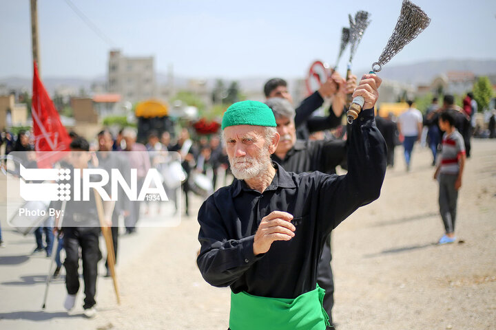 دسته‌روی دیار قومیت‌ها در سالروز شهادت مولای متقیان‎‎