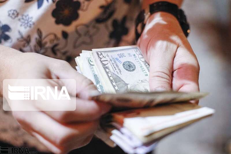چه عاملی باعث رشد قیمتها در بازار ارز شد؟