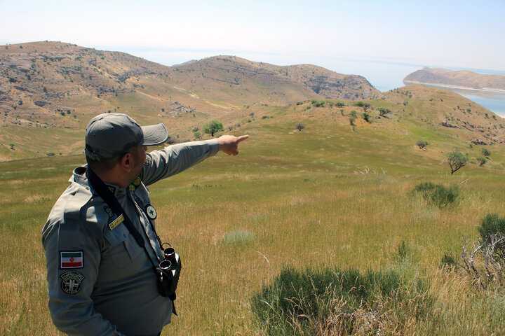 هیچ محیطبانی بدون آموزش باقی نمانده است/ تکرار دورهها هر ۴ سال یکبار