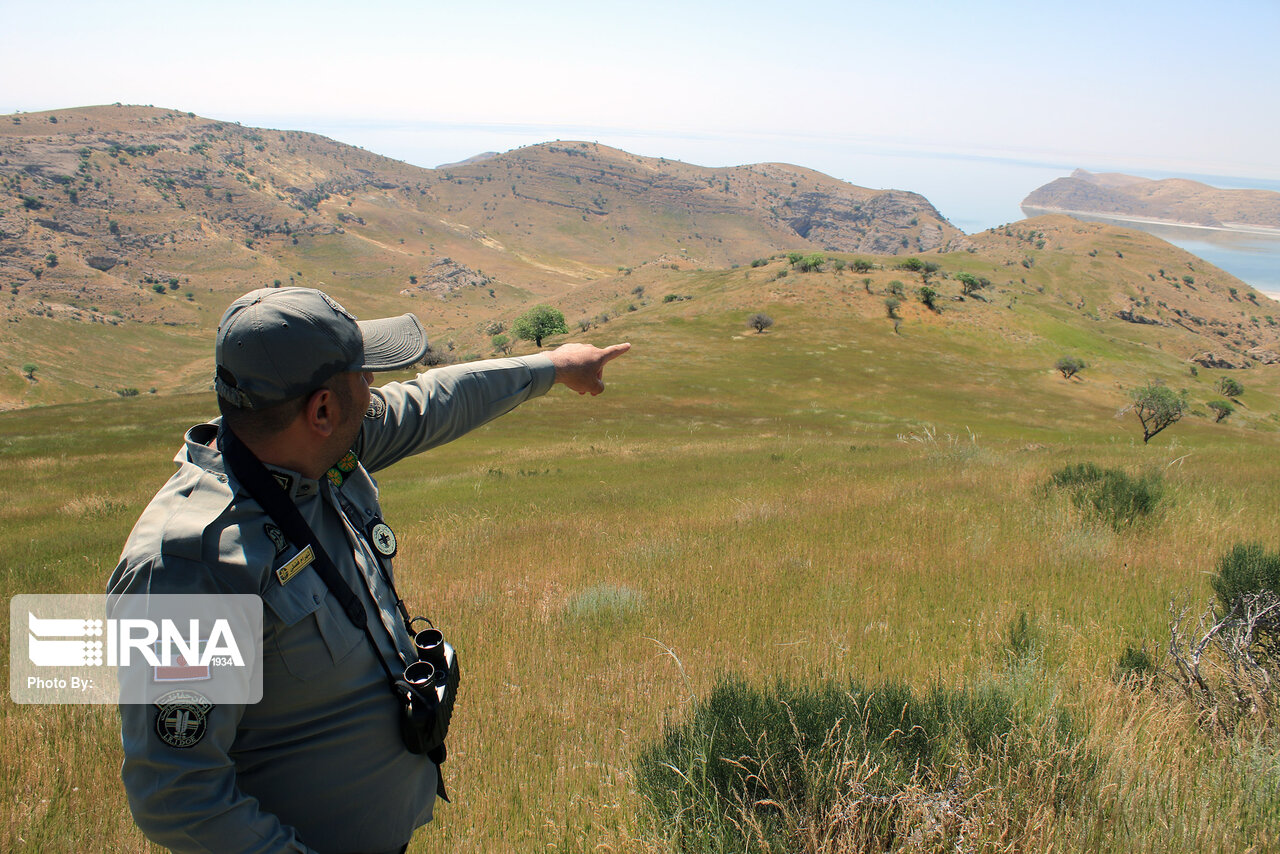 محیط بان شوشتری در درگیری با شکارچیان متخلف مجروح شد محیط بان شوشتری در درگیری با شکارچیان متخلف مجروح شد