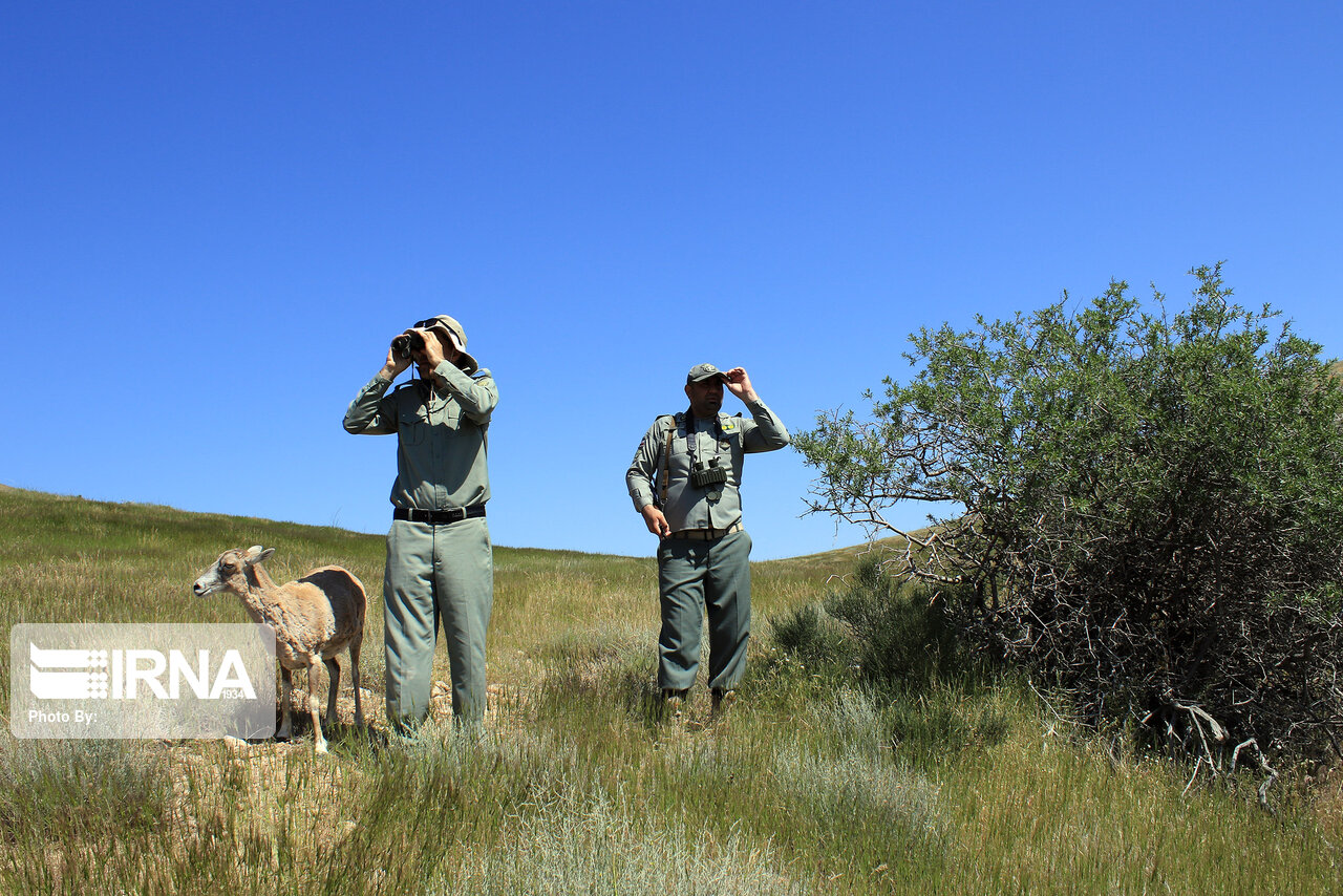 اصلاحیه لایحه حمایت از محیطبانان تقدیم دولت میشود  اصلاحیه لایحه حمایت از محیطبانان تقدیم دولت میشود