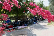 استاندار:البرز نیازمند توسعه زیر ساخت های گردشگری است