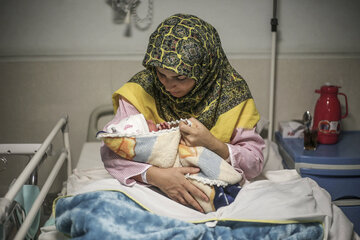 تولد در بوشهر کاهش و مرگ افزایش یافت