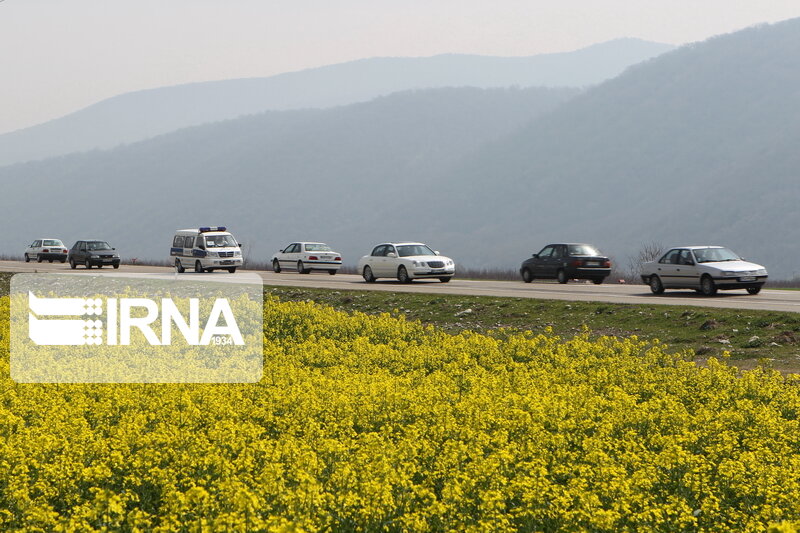 پرواز ققنوس مرگ در جادههای دو طرفه خاش