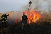 ۷۰ درصد آتش سوزی‌ها در قزوین از مزارع آغاز می‌شود