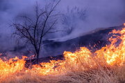 ۱۰۰ هکتار از مراتع و جنگل های شمال دزفول در آتش سوخت