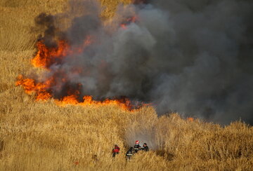 تازیانه آتش بر پیکر خشک مراتع 