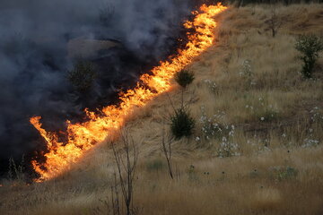 حدود ۱۰۴ هکتار  اراضی جنگلی گیلان دچار آتش سوزی شد