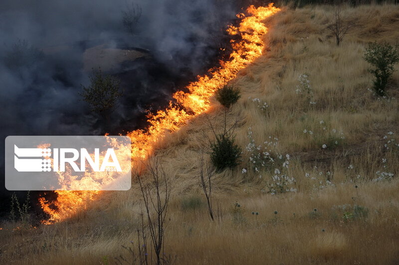 اعزام نیروهای ارتش برای مهار آتش در جنگل خسرج