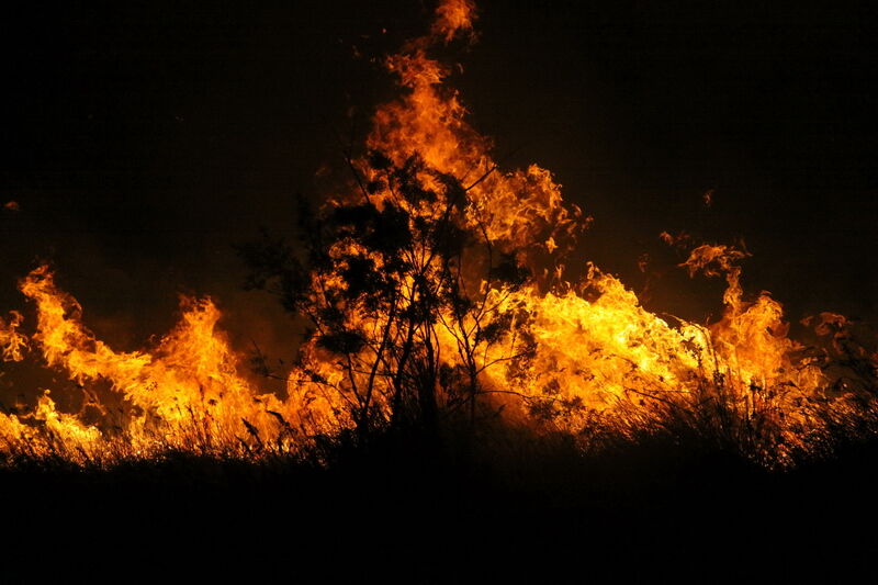 تلاش برای مهارآتش جنگلهای گلستان ادامه دارد