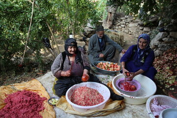 ۹۸ صندوق محله برای زنان روستایی در آذربایجان‌غربی فعال است