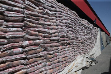 ۳۲۲ تن برنج از یک انبار در باوی کشف شد