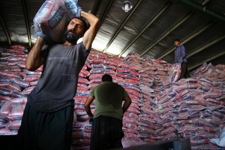 کنترل بازار برنج داخلی و وارداتی در دولت سیزدهم/ مافیای دلالی به دنبال افزایش قیمت‌ها