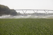 مصرف ۶۴ درصد ذخیره آبی در بخش کشاورزی