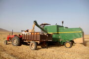 تمام ماشین‌آلات کشاورزی کردستان پلاک‌گذاری شد