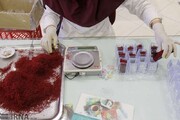 شرکتهای دانش‌بنیان صادرکنندگان زعفران را از خام فروشی نجات دهند